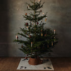 Oak Leaf Christmas Tree Candle Holder (Set of 4)