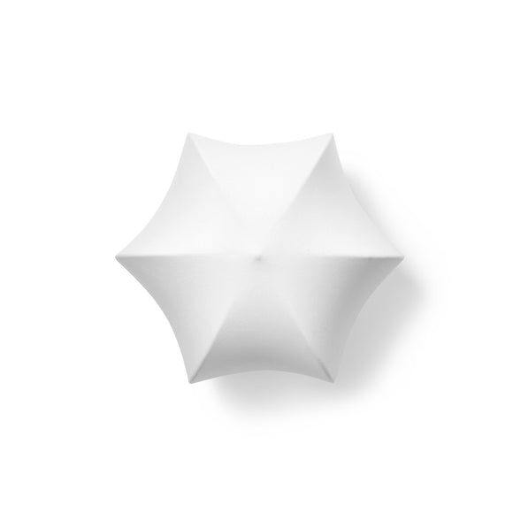 Poem Wall/Ceiling Light