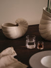 Shell Planter