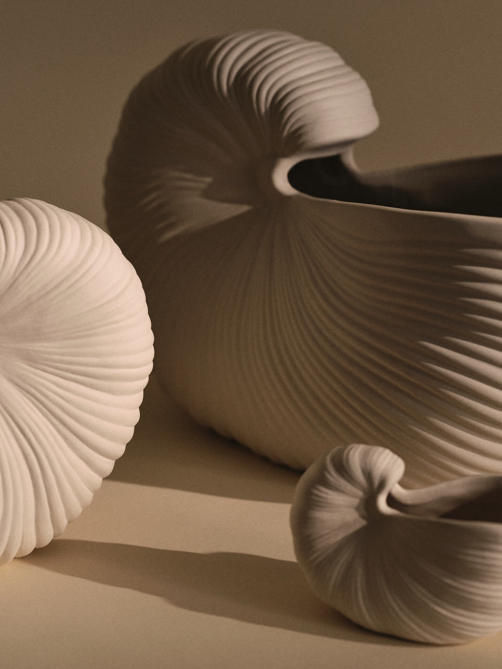 Shell Planter