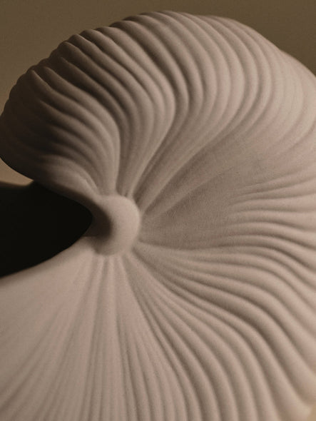 Shell Planter