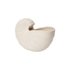 Shell Planter