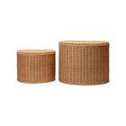 Willora Braided Storage (Set of 2)