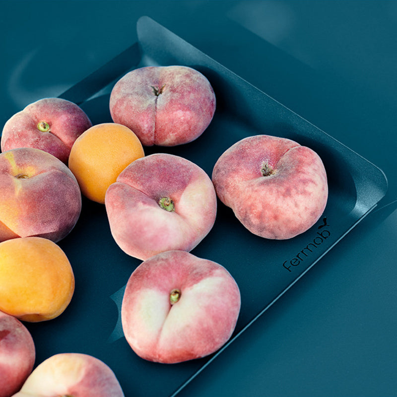 Alto Metal Tray