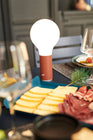 Alto Metal Tray