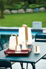 Alto Metal Tray with Open Handles