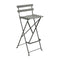 Bistro Bar Stool (Set of 2)  option Rosemary (Textured)