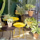 Cocotte Low Table with Removable Tray