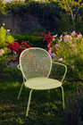 Lorette Armchair (Set of 2)