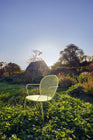 Lorette Armchair (Set of 2)