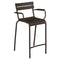 Luxembourg Stool with Arms (Set of 2)  option Tonka