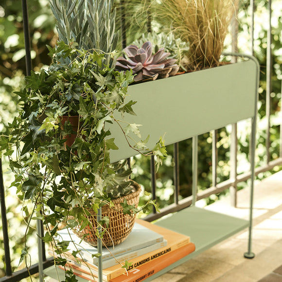 Picolino Plant Holder