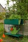 Picolino Plant Holder