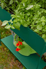 Picolino Plant Holder
