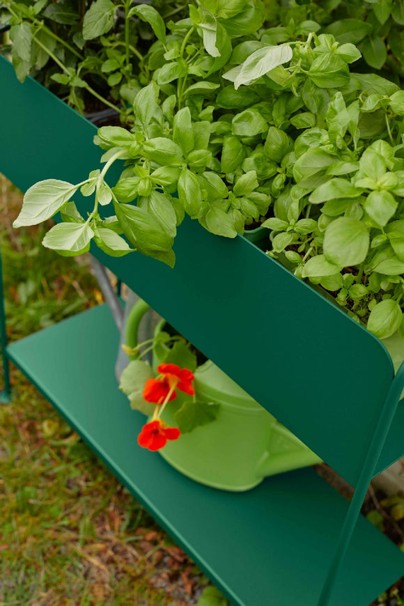 Picolino Plant Holder