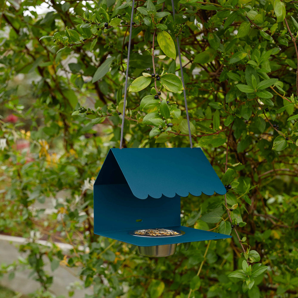 Picoti Bird Feeder