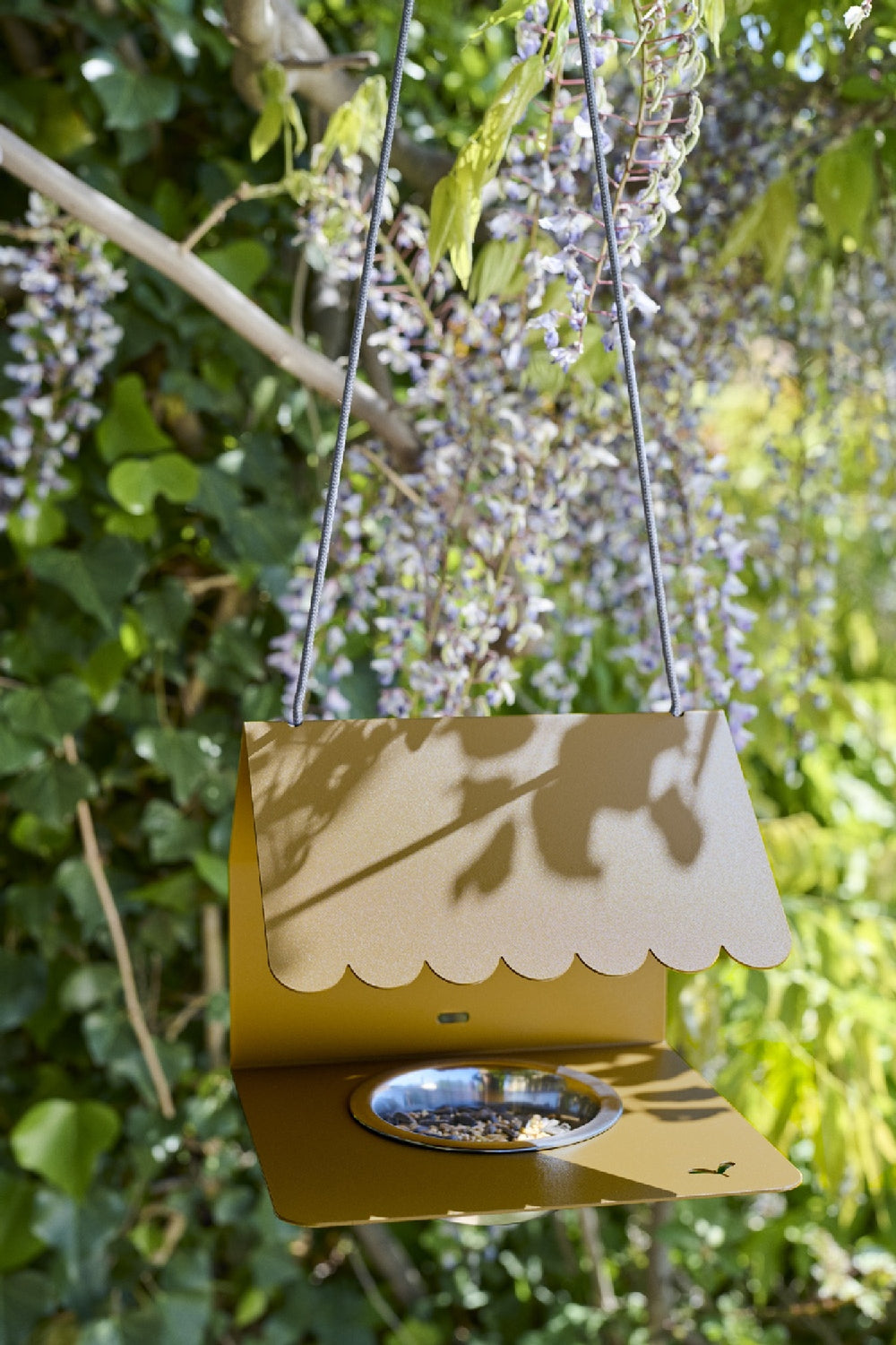 Picoti Bird Feeder