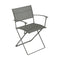 Plein Air Armchair (Set of 2)  option Rosemary (Textured) - Stereo Fabric