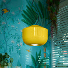 Deco Bellota Pendant Light