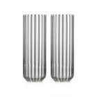 Dearborn Champagne Flute (Set of 2)