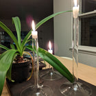 Linea Candlestick