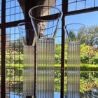 Sophia Tall Glass (Set of 2)