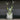Splash Vase