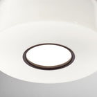 Bellhop Glass Pendant Light