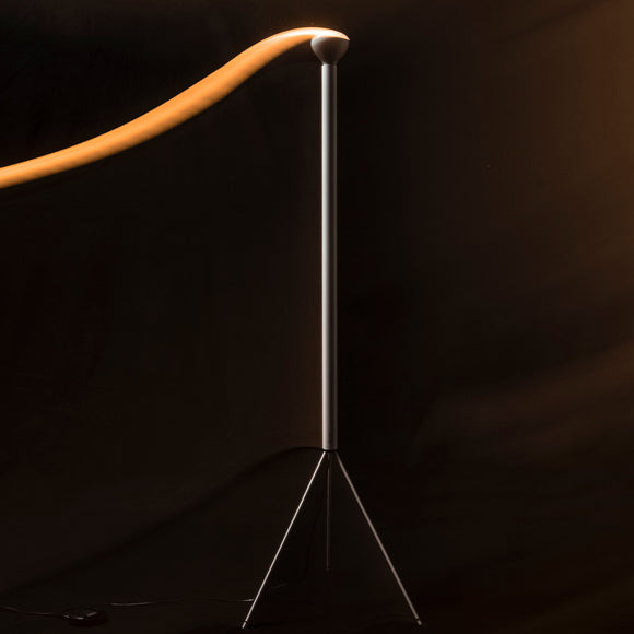 Luminator Floor Lamp