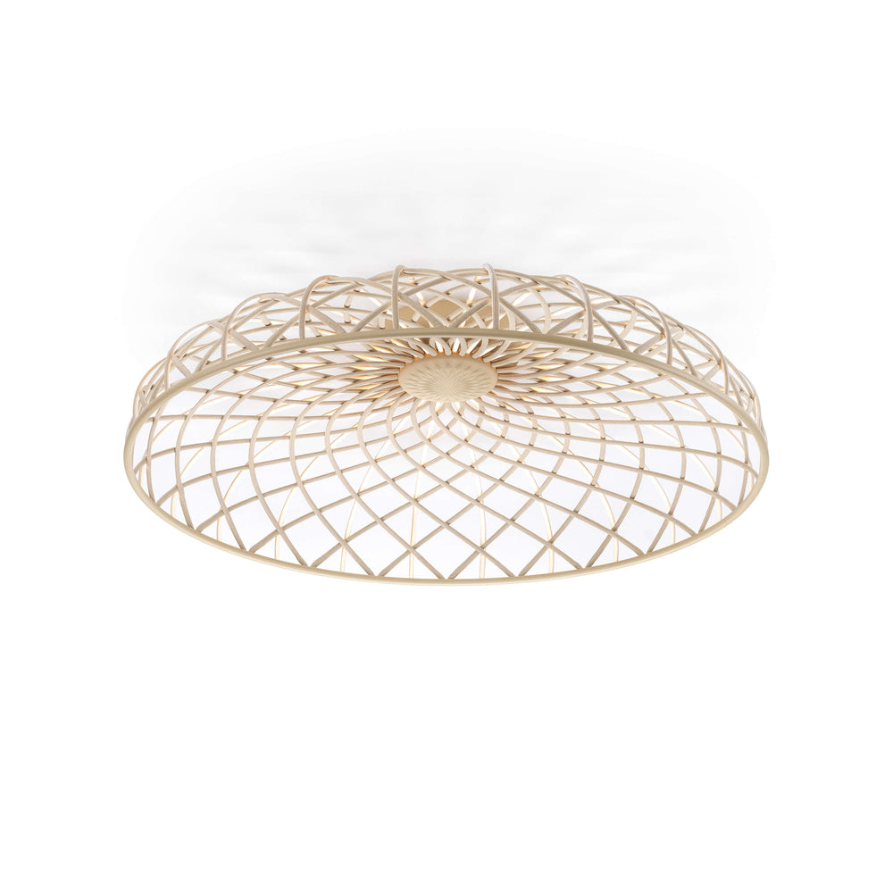 Skynest Wall/Ceiling Light