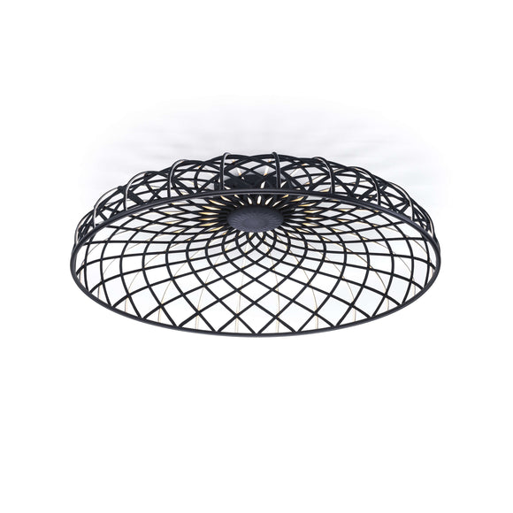 Skynest Wall/Ceiling Light