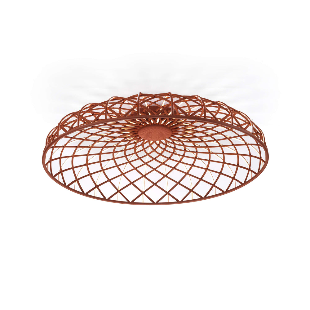 Skynest Wall/Ceiling Light