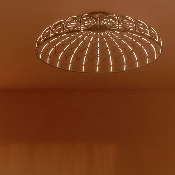 Skynest Wall/Ceiling Light