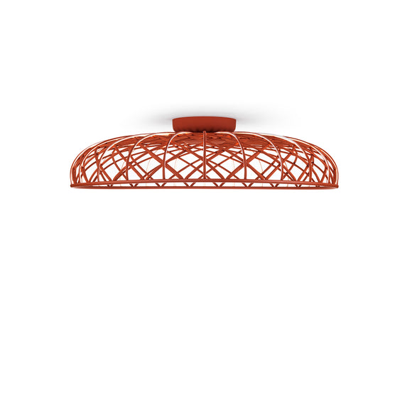 Skynest Wall/Ceiling Light