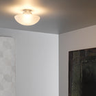 Sillaba Wall / Ceiling Light