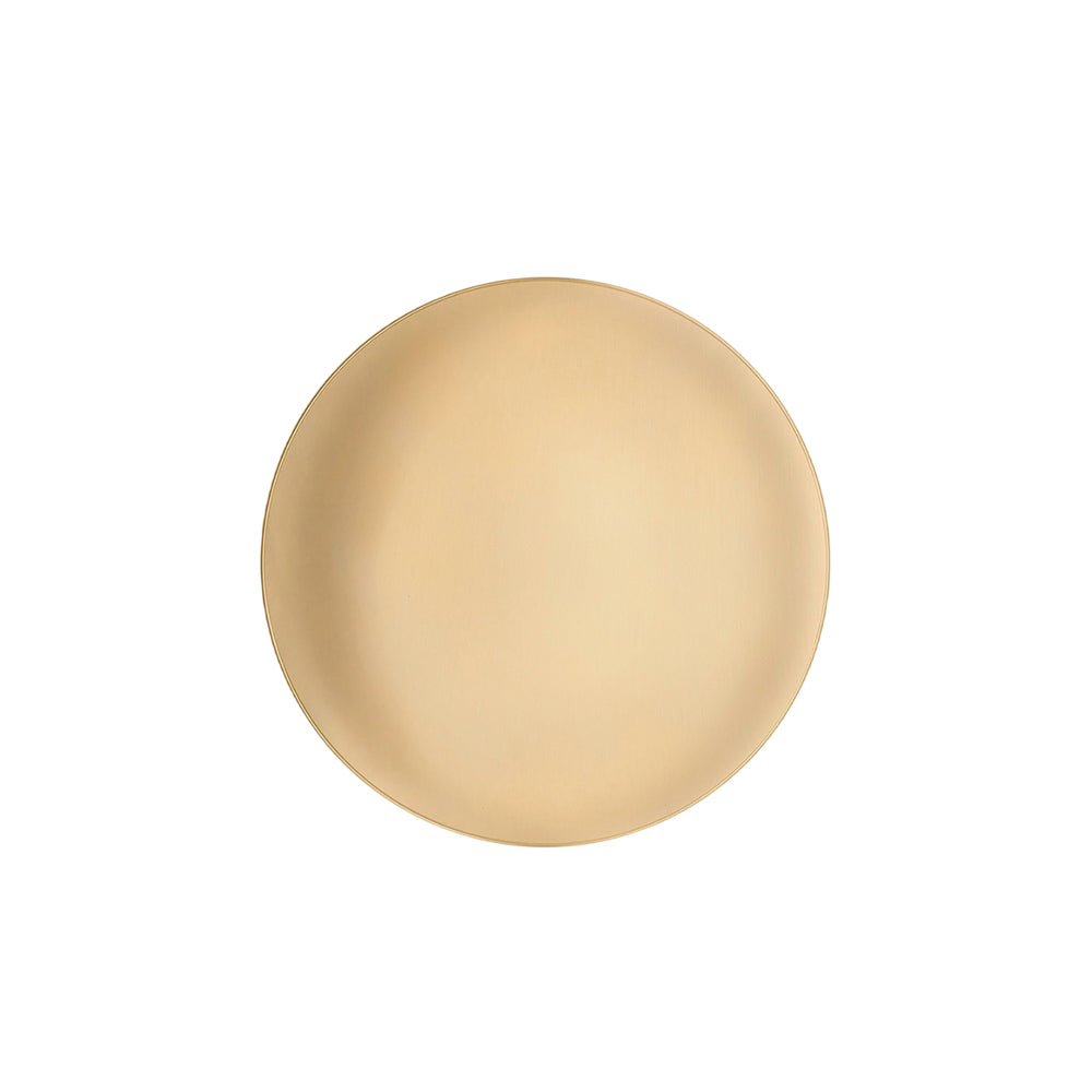 Anoor LED Wall/Ceiling Light