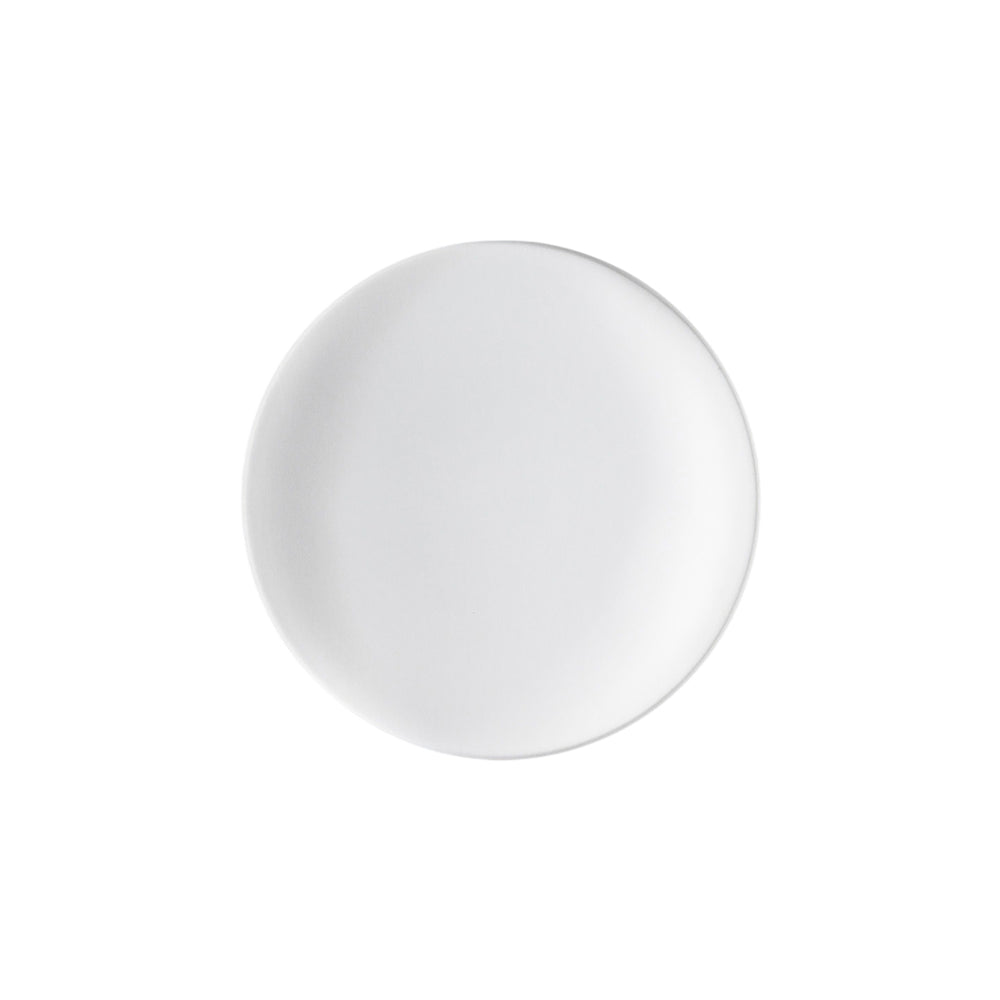 Anoor LED Wall/Ceiling Light