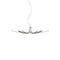 Asteria Pendant Light  option Titanium