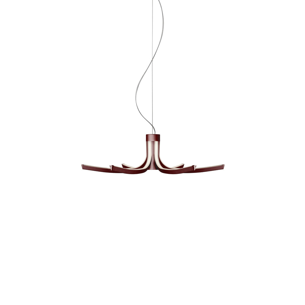 Asteria Pendant Light