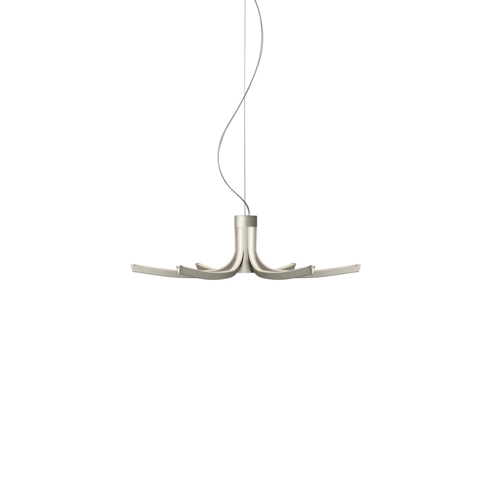 Asteria Pendant Light