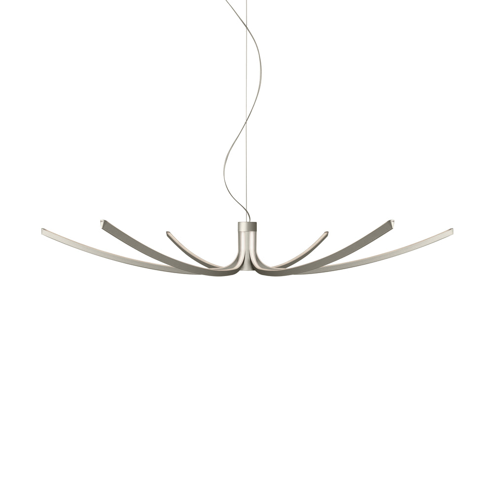 Asteria Pendant Light