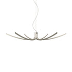 Asteria Pendant Light
