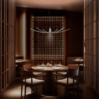 Asteria Pendant Light