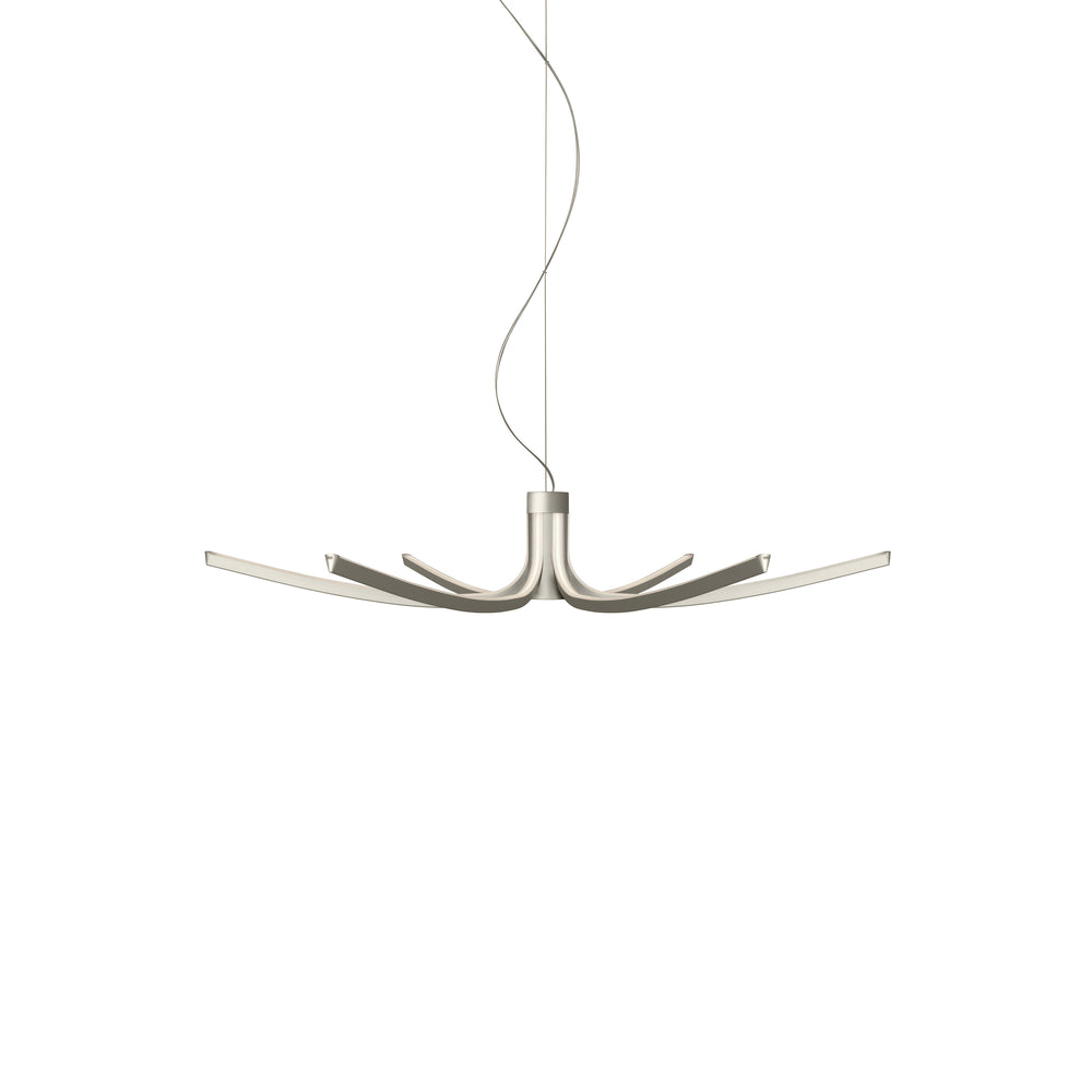 Asteria Pendant Light