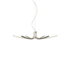 Asteria Pendant Light