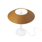 Chapeaux M Table Lamp