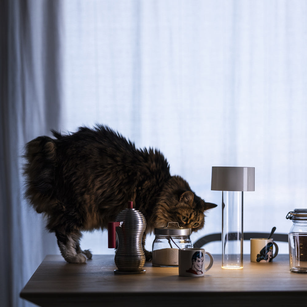 Fleur Vase & Portable Lamp