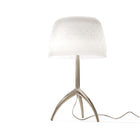 Lumiere 30th Table Lamp