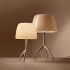 Lumiere Nuances Table Lamp