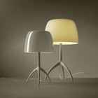 Lumiere Nuances Table Lamp